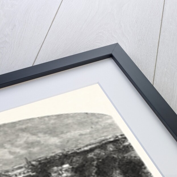 The Serpentine by Anonymous