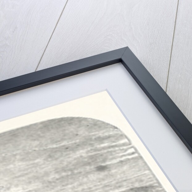 The Port of Leghorn by Anonymous