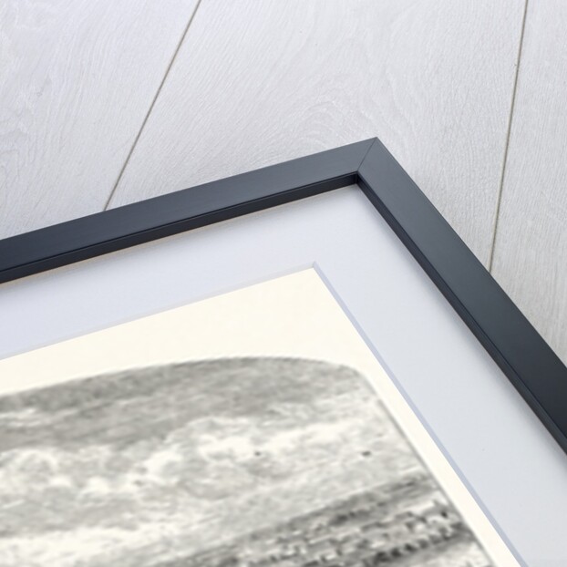 The Mouth of the Peiho River by Anonymous