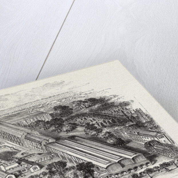 South Kensington Museum, London by Anonymous