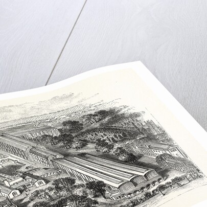 South Kensington Museum, London by Anonymous