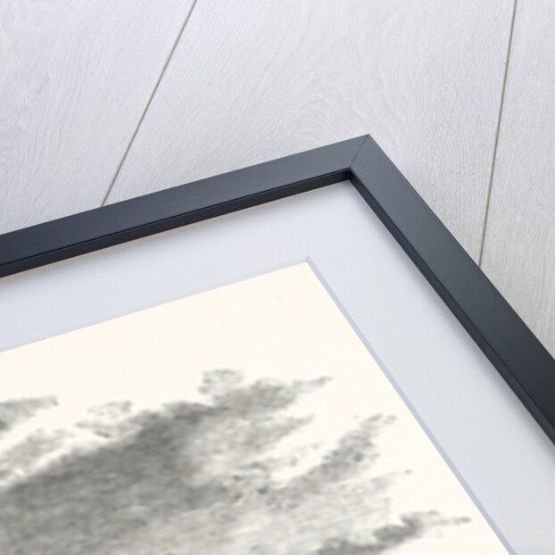 The Amsterdam Crystal Palace by Anonymous