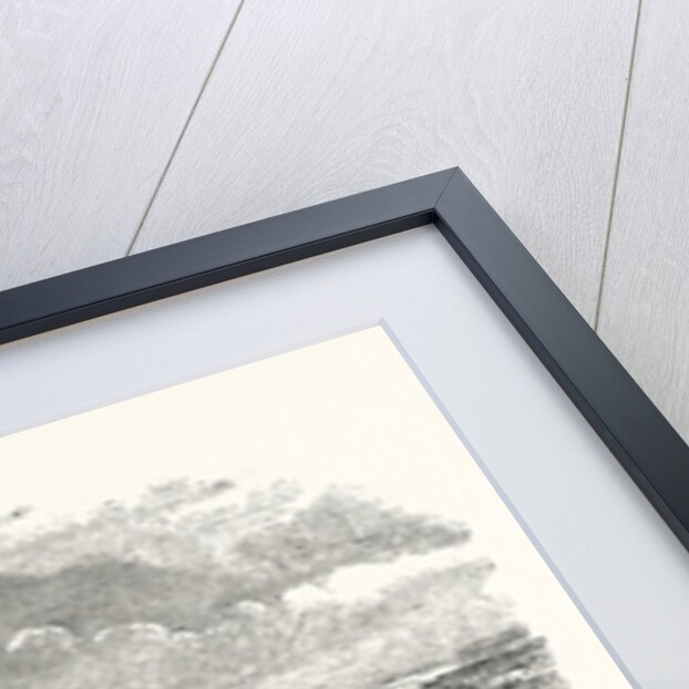 Town and Harbour of Tenby, Pembrokeshire by Anonymous