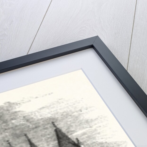 The Royal Victoria Patriotic Asylum, Wandsworth Common, London by Anonymous