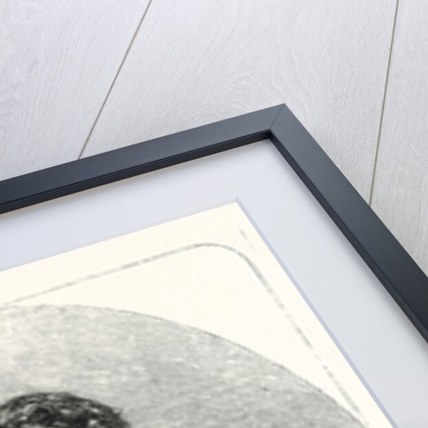 The Late Captain Harrison by Anonymous