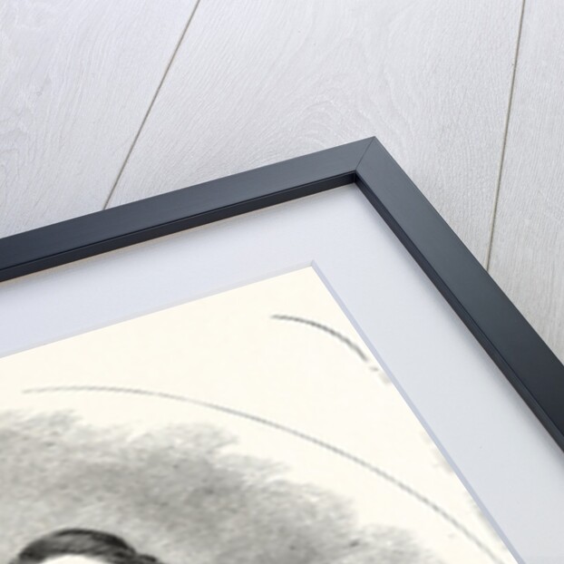 Tom Taylor by Anonymous