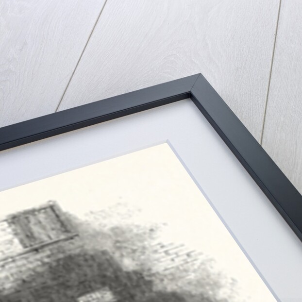 The Behemoth, or Hippopotamus by Anonymous