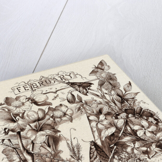 February by Anonymous