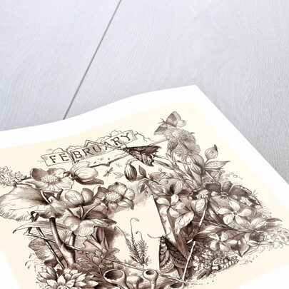 February by Anonymous