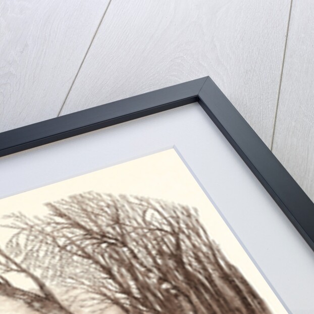 Rabbit Shooting, Rabbits by Anonymous