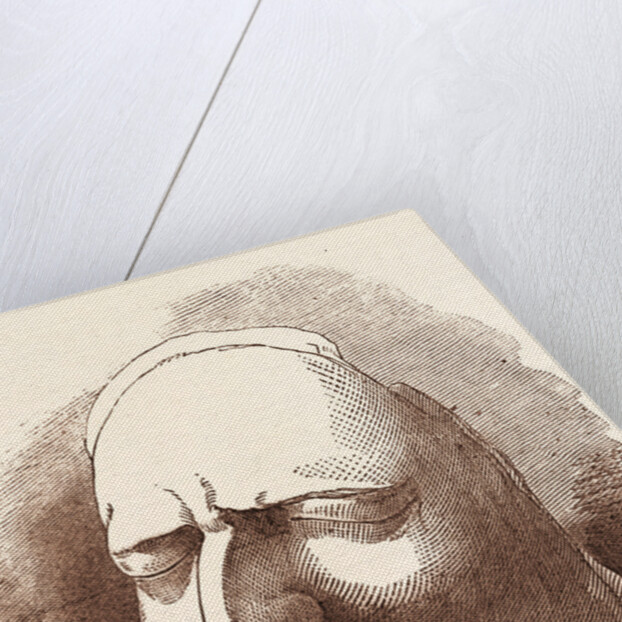 Posthumous Mask of Sir Isaac Newton by Anonymous