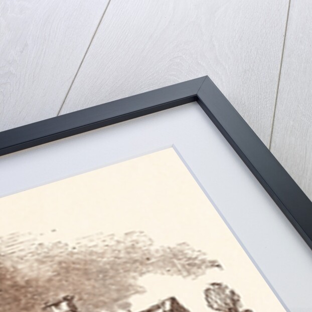 Sharpham Park, Somerset by Anonymous