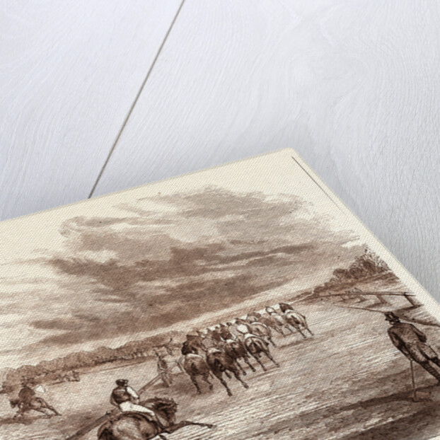 Thoroughbred by Anonymous