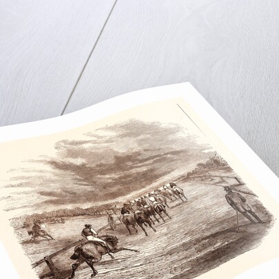 Thoroughbred by Anonymous