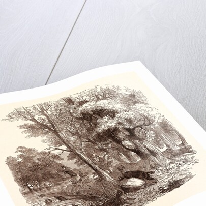 Otter Hunting, Wildlife, River by Anonymous