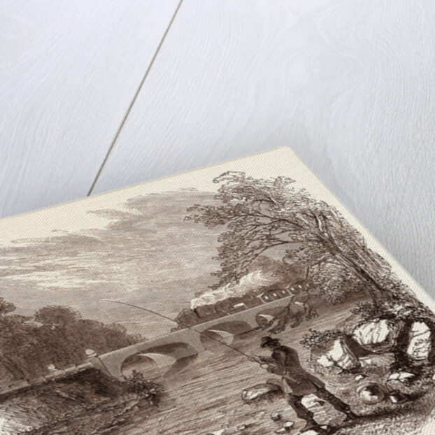 Angling, Fishing, Water, Fish, Fisherman, Bait, River, Angler, Man, Fisher by Anonymous