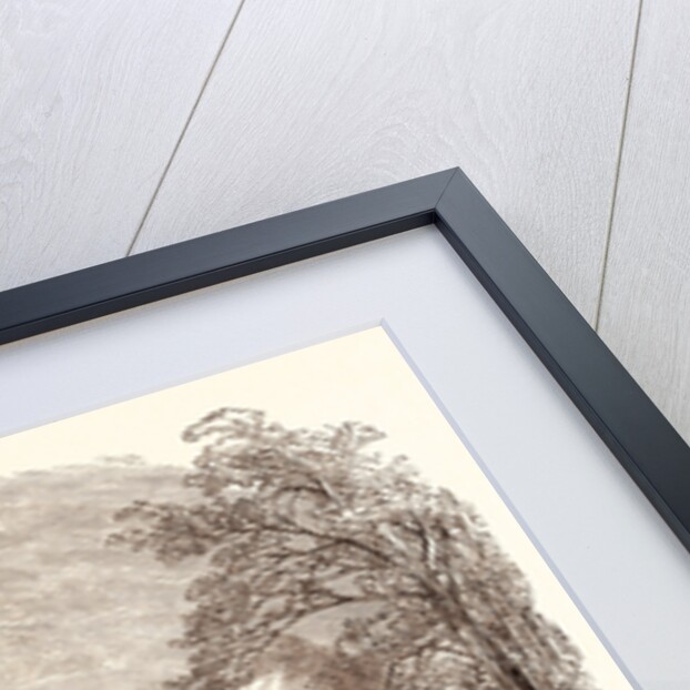 Angling, Fishing, Water, Fish, Fisherman, Bait, River, Angler, Man, Fisher by Anonymous