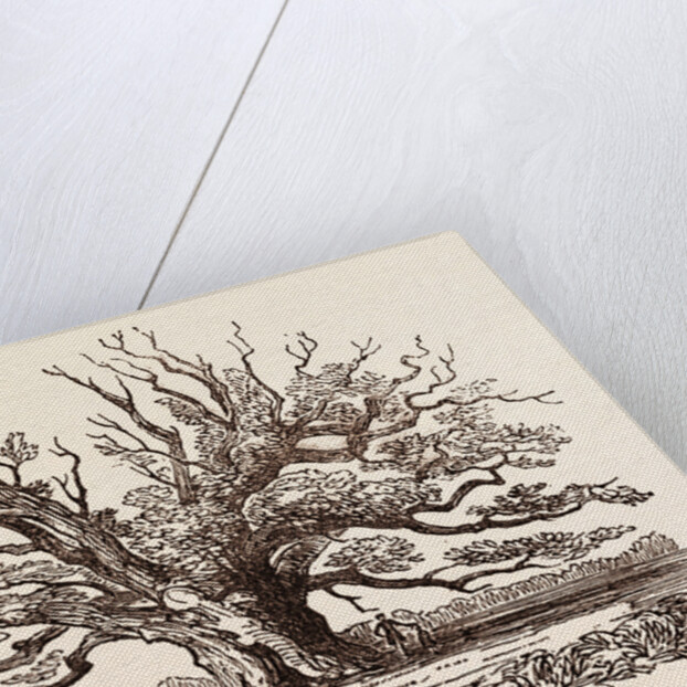 The Fairlop Oak, in Hainault Forest in the London Borough of Redbridge by Anonymous