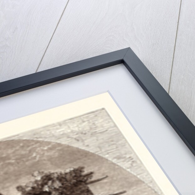 A Spanish Gipsy, Spain by Anonymous