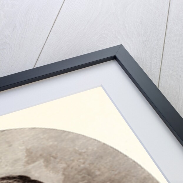 General Mouravieff by Anonymous