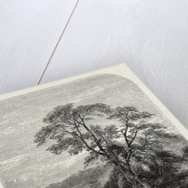 A Mountain Spring by Anonymous