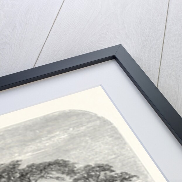 A Mountain Spring by Anonymous