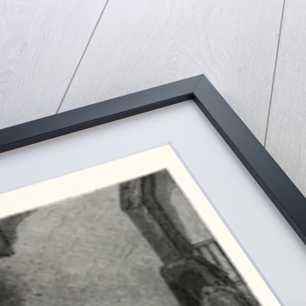 The Dead Rabbit by Anonymous