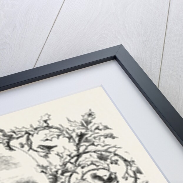 January by Anonymous