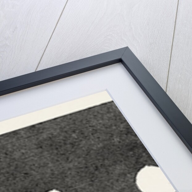 Phases of Venus in 1859 by Anonymous