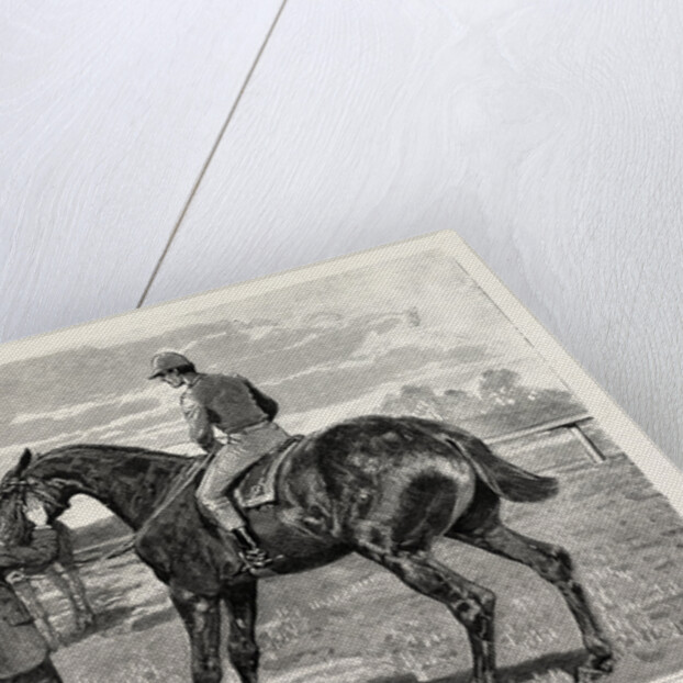 Horse by Anonymous
