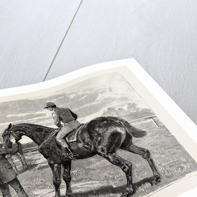 Horse by Anonymous