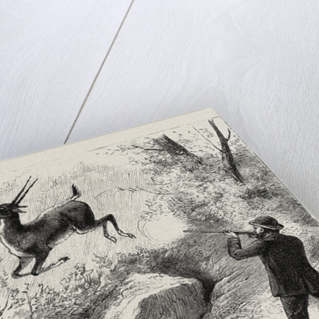 A Flying Shot by Anonymous