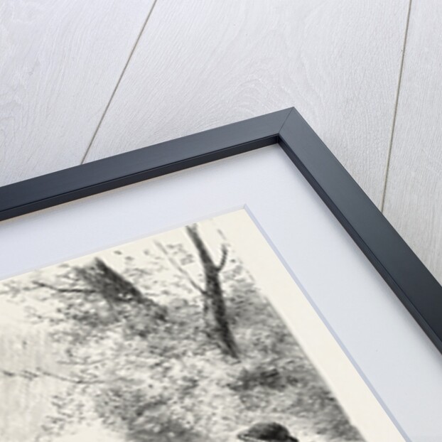 A Flying Shot by Anonymous