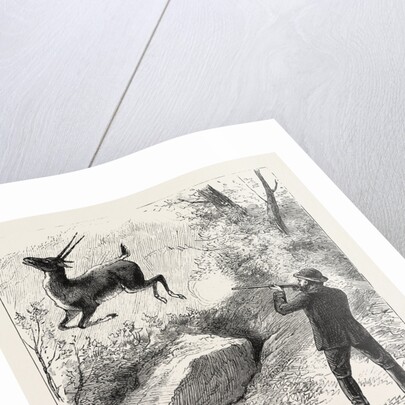 A Flying Shot by Anonymous