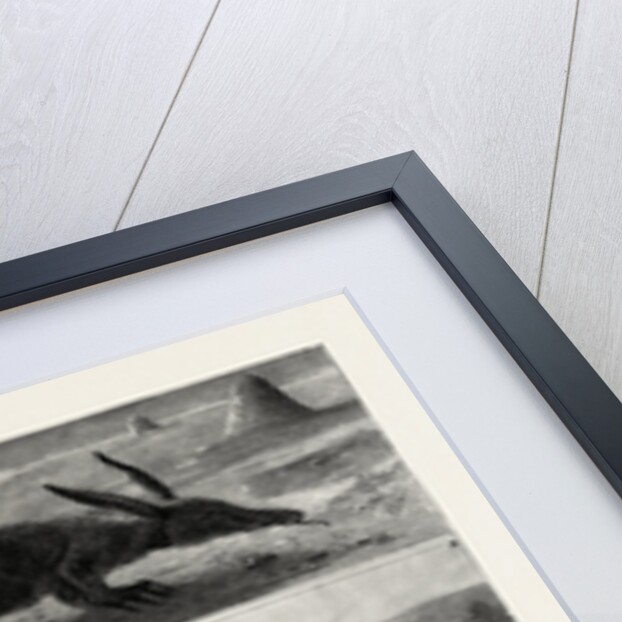 South Africa by Anonymous