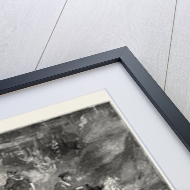 We Go Seining and Make a Bonfire in the Woods by Anonymous