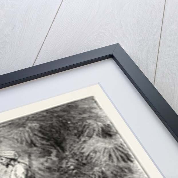 But a Slave-Hunter Discovered Her Village by Anonymous