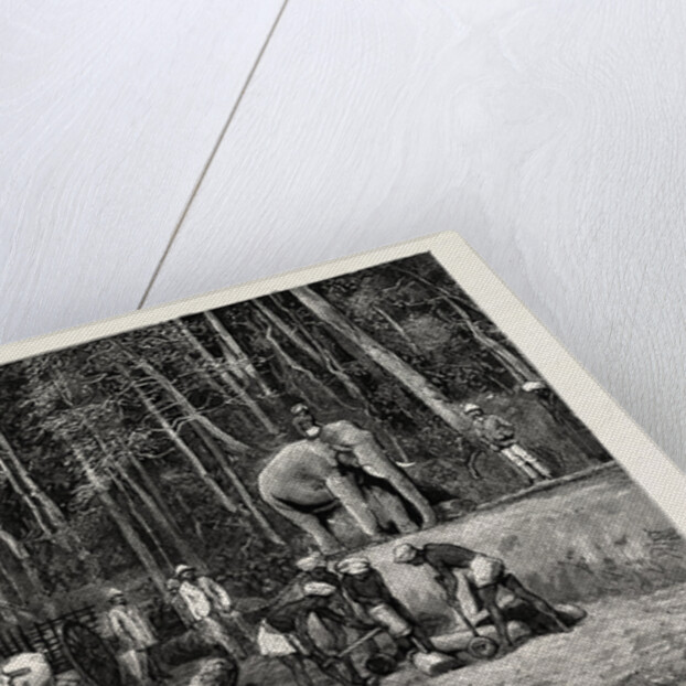 Natives Felling Timber in a Forest Perseverance Property, Gold Mining in Wynaad, India by Anonymous