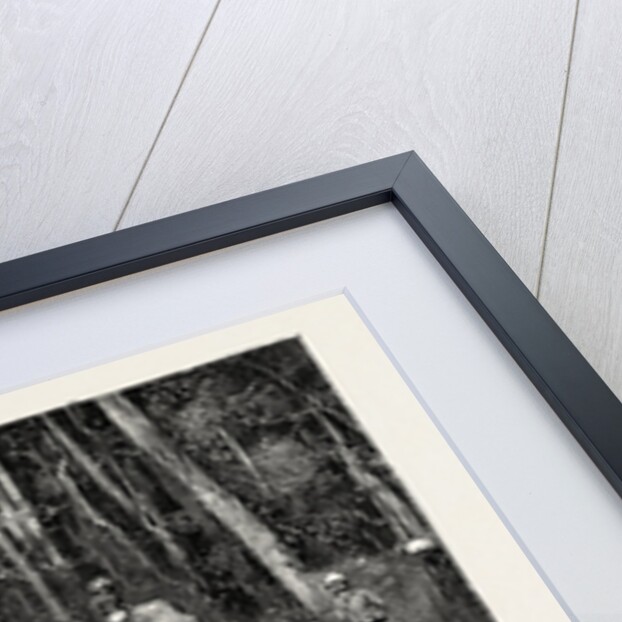 Natives Felling Timber in a Forest Perseverance Property, Gold Mining in Wynaad, India by Anonymous