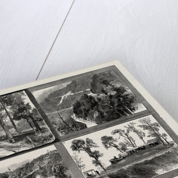 Views on the Darjeeling Hill Railway, India by Anonymous