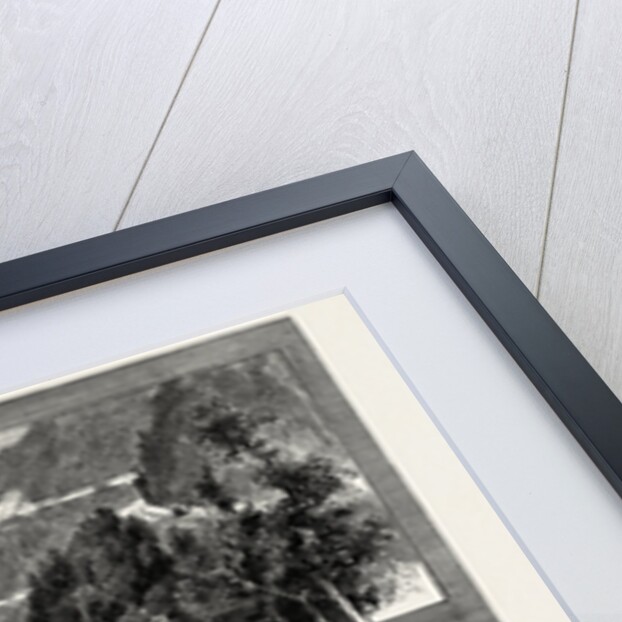 Views on the Darjeeling Hill Railway, India by Anonymous