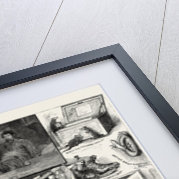 Rats on Board Ship a Midnight Fantasy by Anonymous