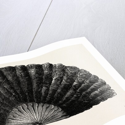 Modern Ostrich Feather Fan by Anonymous