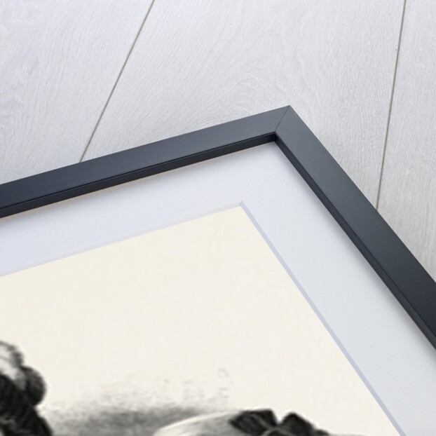 1882 Fashionable Hats by Anonymous