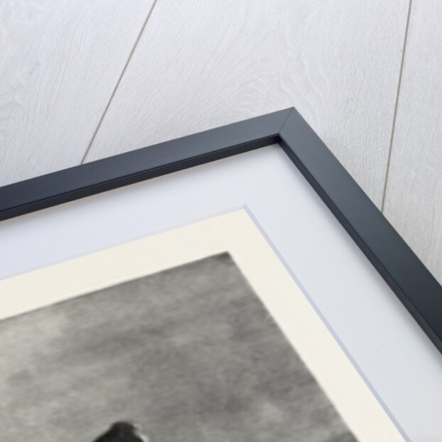 Lapponian Peasant Girl, European, Finland, Lapp by Anonymous