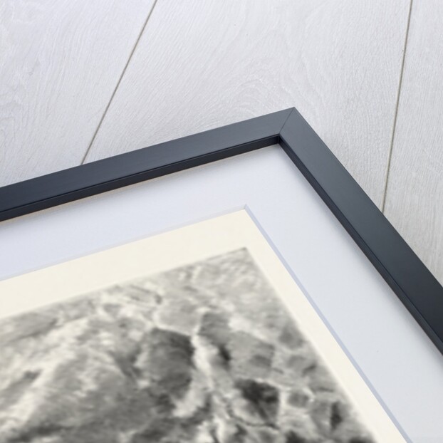 Flowers by Anonymous