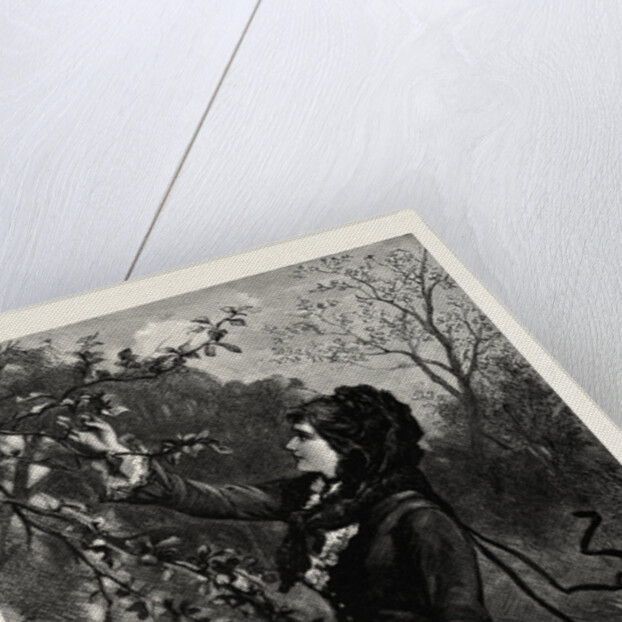 Fruit, Lady by Anonymous