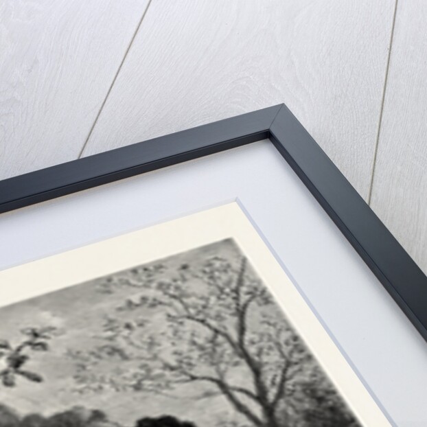 Fruit, Lady by Anonymous