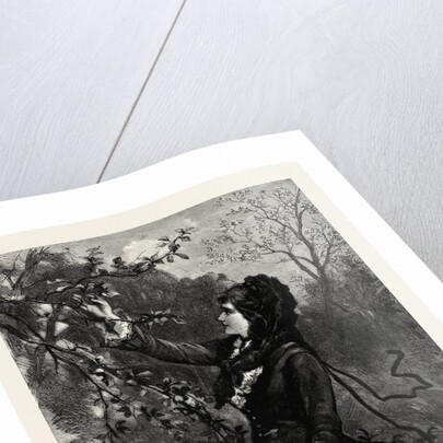 Fruit, Lady by Anonymous