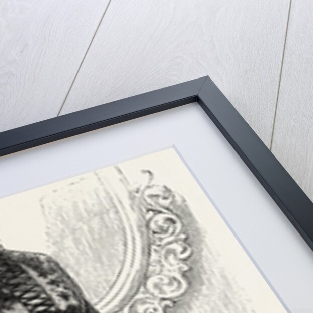 Home Dinner Toilette by Anonymous